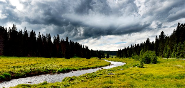 Conifer Countryside Dark