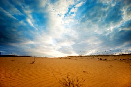 Arid Daylight Desert