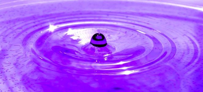 Bubble Circle Clean
