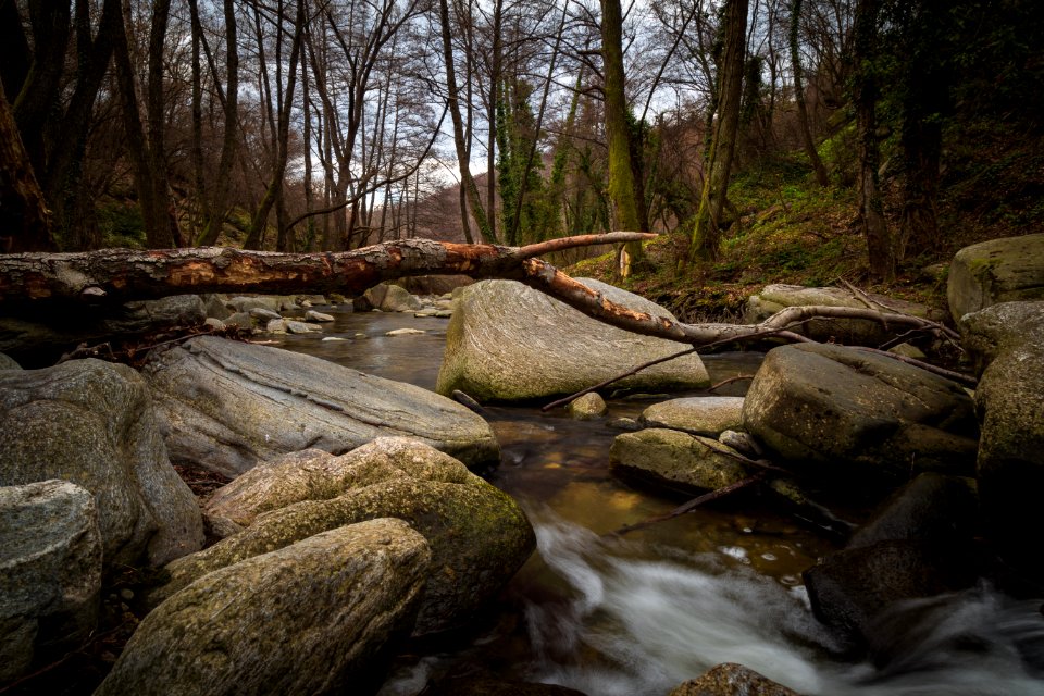 Boulders Branches Creek photo