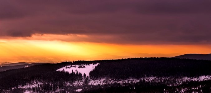 Dawn Dusk Forest photo