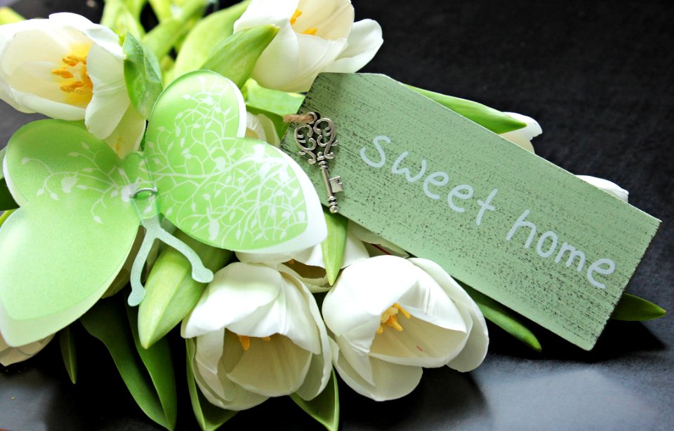 Aromatherapy Bloom Blossom