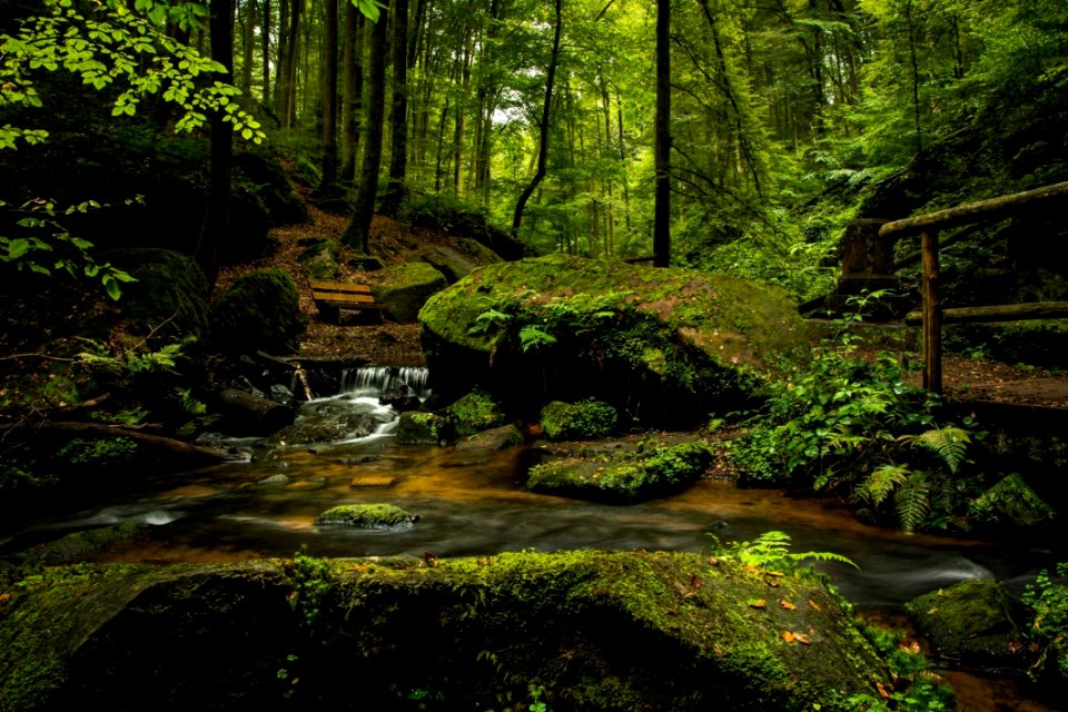 Bench Cascade Creek