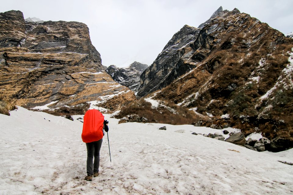 Adventure Back View