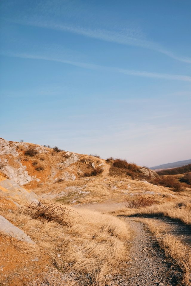 Barren Grass Pathway photo