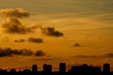 Backlit Dawn Daylight