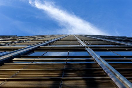 Architecture Building Canary