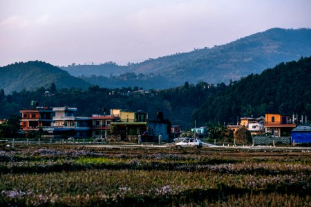 Agriculture Asia Background