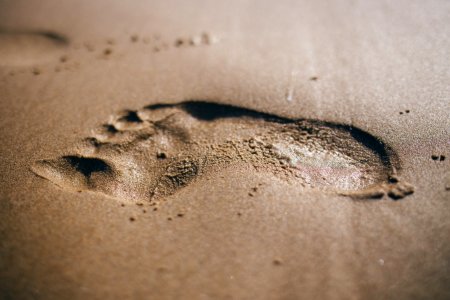 Foot Print On Sand photo