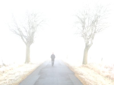 Alone Cold Fog photo