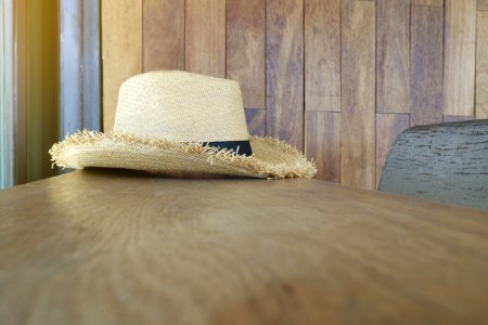 Chair Furnitures Hat
