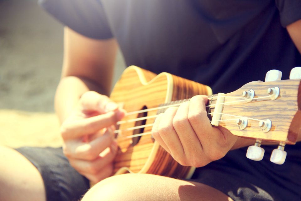 Acoustic Guitarist Hands