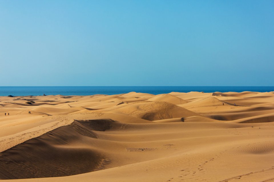 Adventure Alone Arid