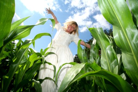 Agriculture Blond Close-up