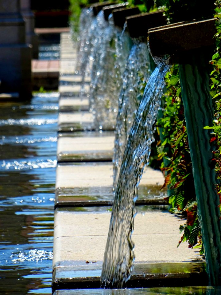 Flow Fountain Garden