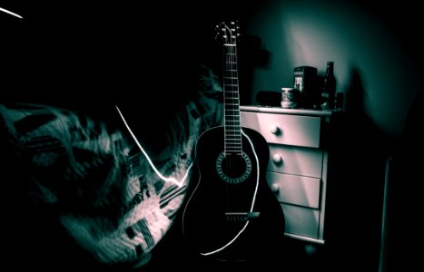 View Of Guitar