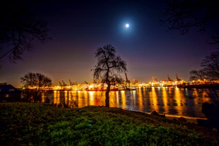 Reflection Of Trees In Water At Night