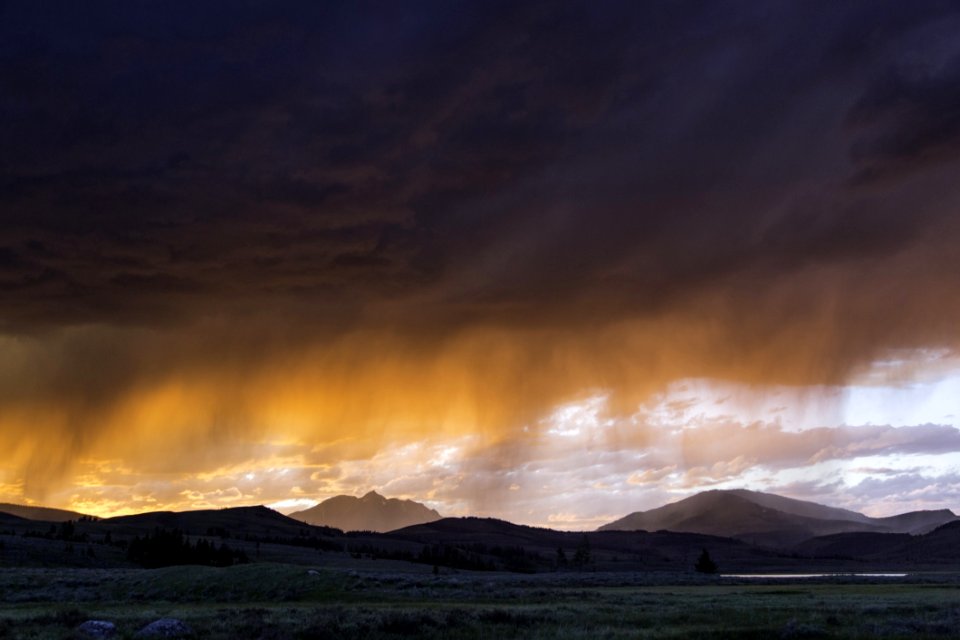Scenic View Of Landscape