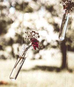 Hanging Flower Vase