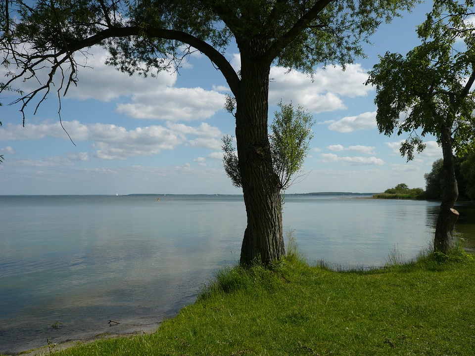 Rest recovery water