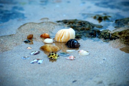 Beach Ocean Sand