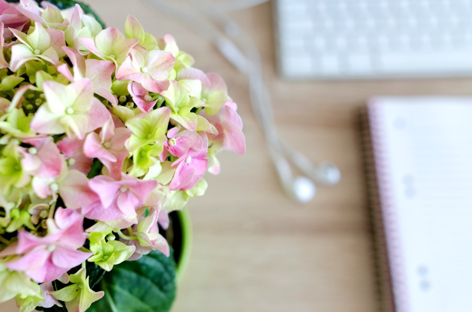 Blooming Blur Bouquet