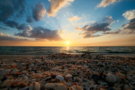 Beach Calm Waters photo