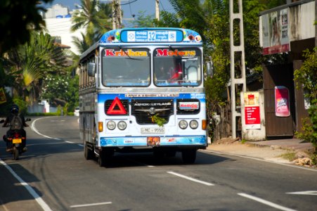Bus City Local