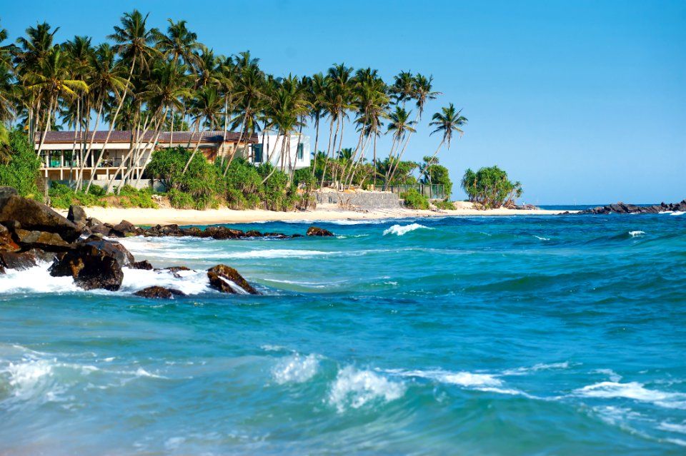 Beach Coast Ocean