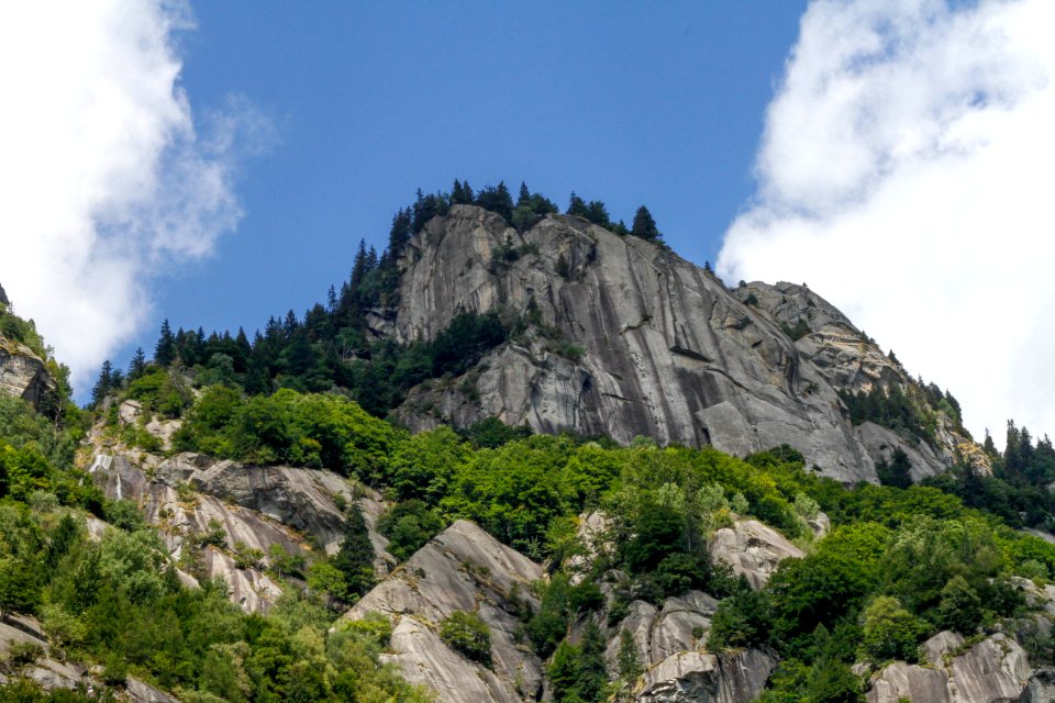 Cliff Clouds Conifers