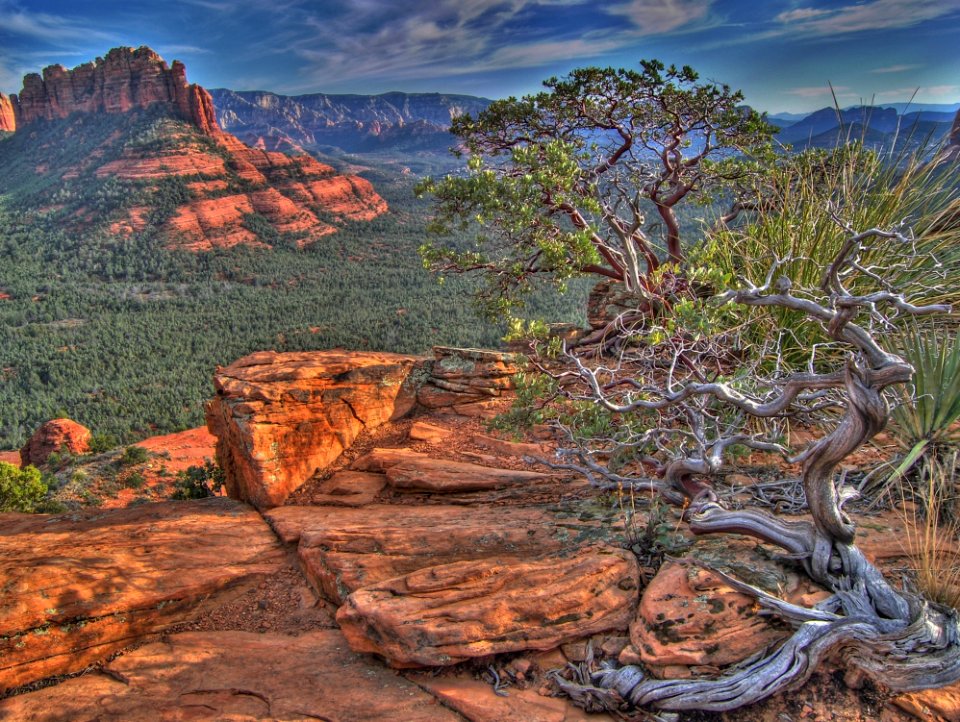 Canyon Daylight Desert photo