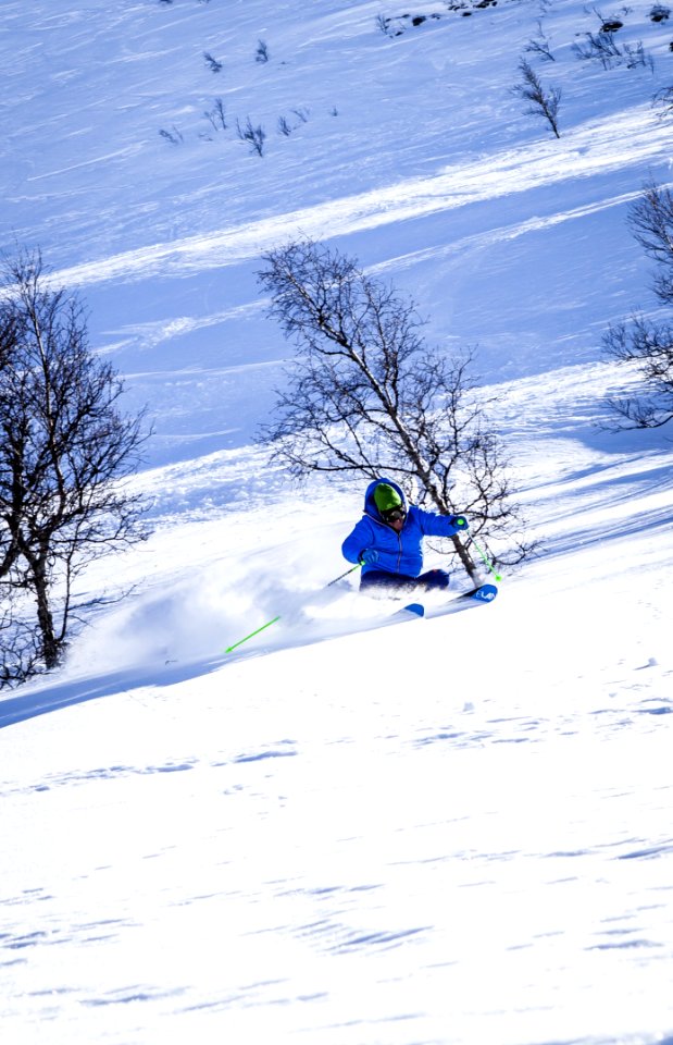 Action Adventure Cold