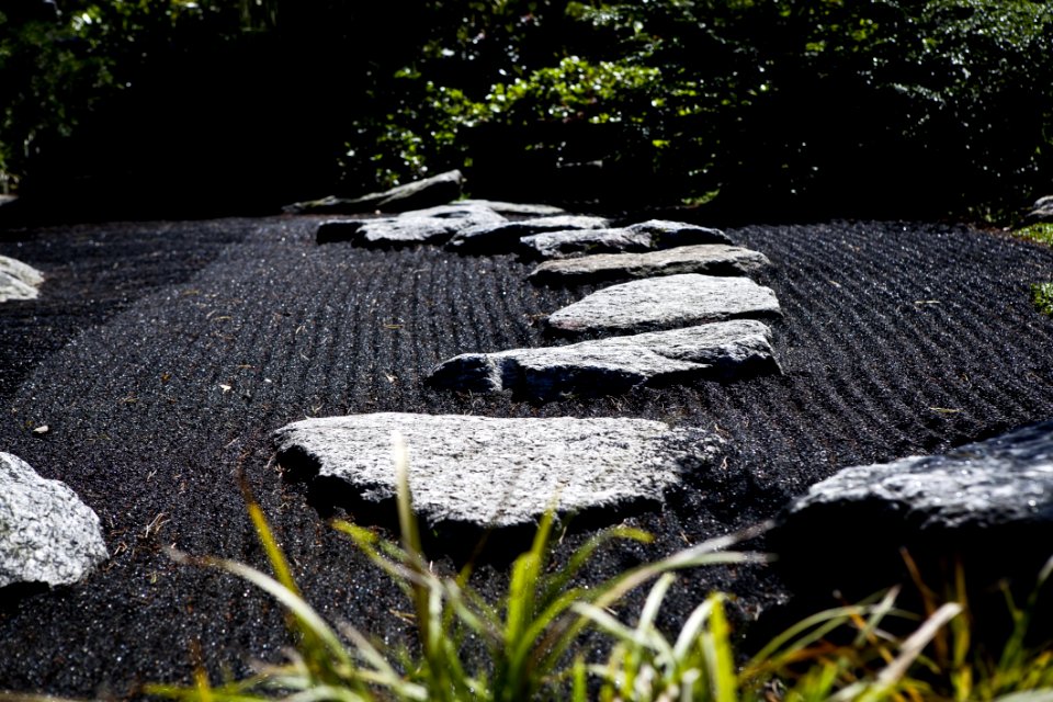 Daylight Environment Garden