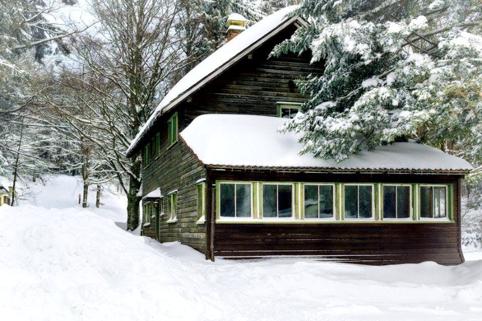 Bungalow Cold Forest