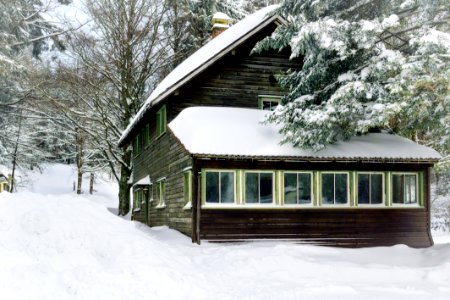 Bungalow Cold Forest