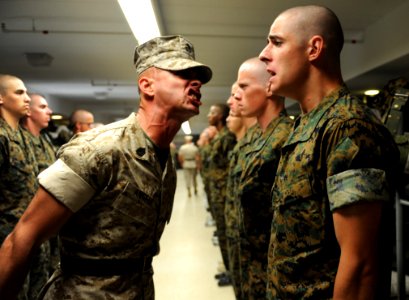 Army Authority Drill
