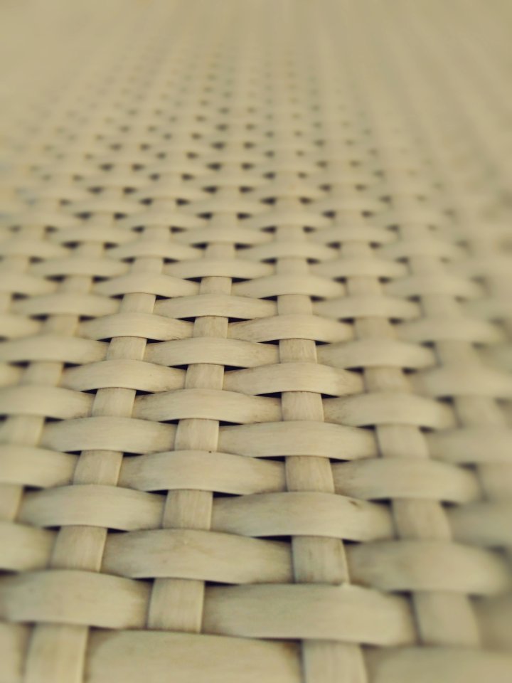 Blur Close-up Decoration