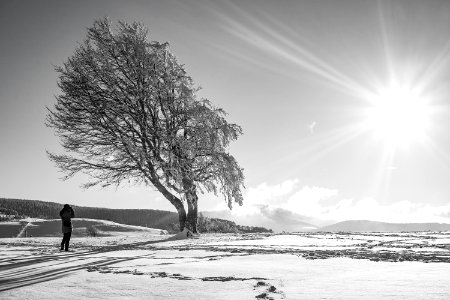 Clouds Cold Frost photo