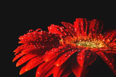 Background Beautiful Black