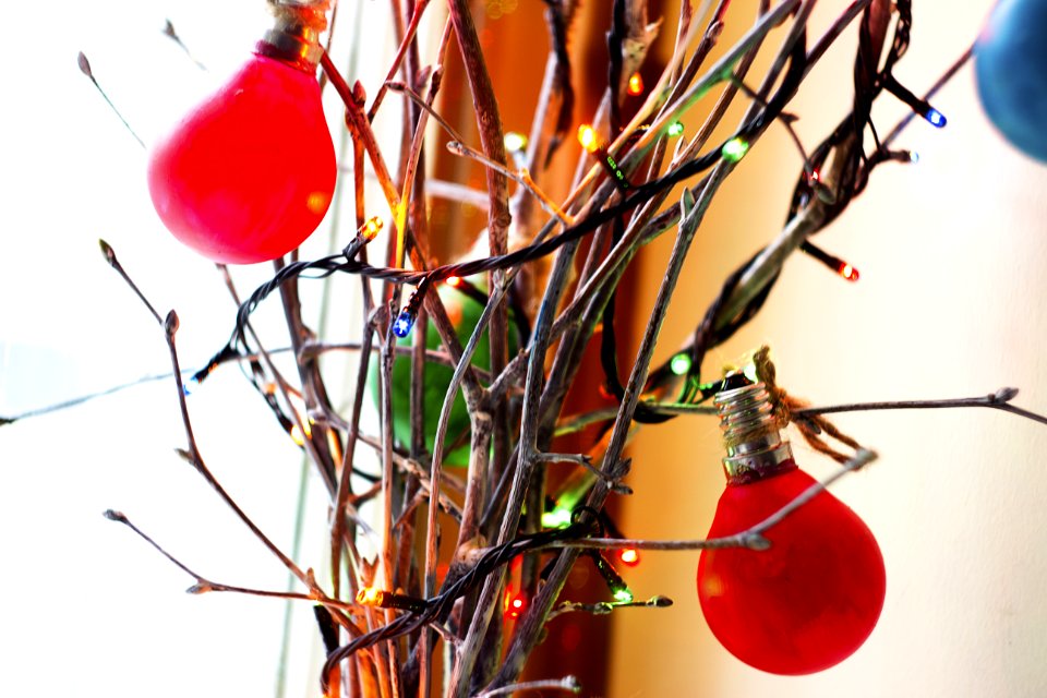 Blur Branches Bright