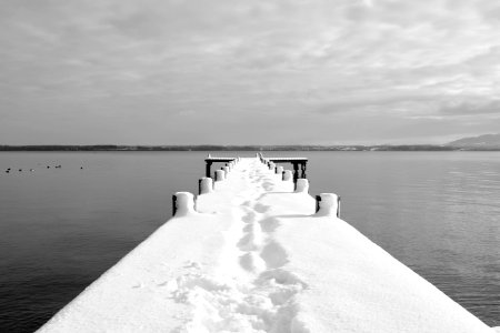 Black-and-white Boardwalk Boat photo