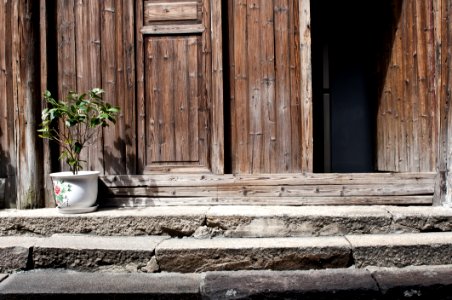 Architecture Bamboo Bright