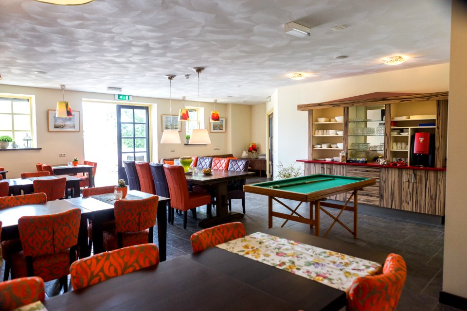 Billiards Ceiling Chair