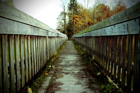 Architecture Bridge Color