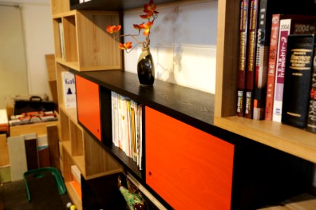 Books Bookshelves Cabinet photo