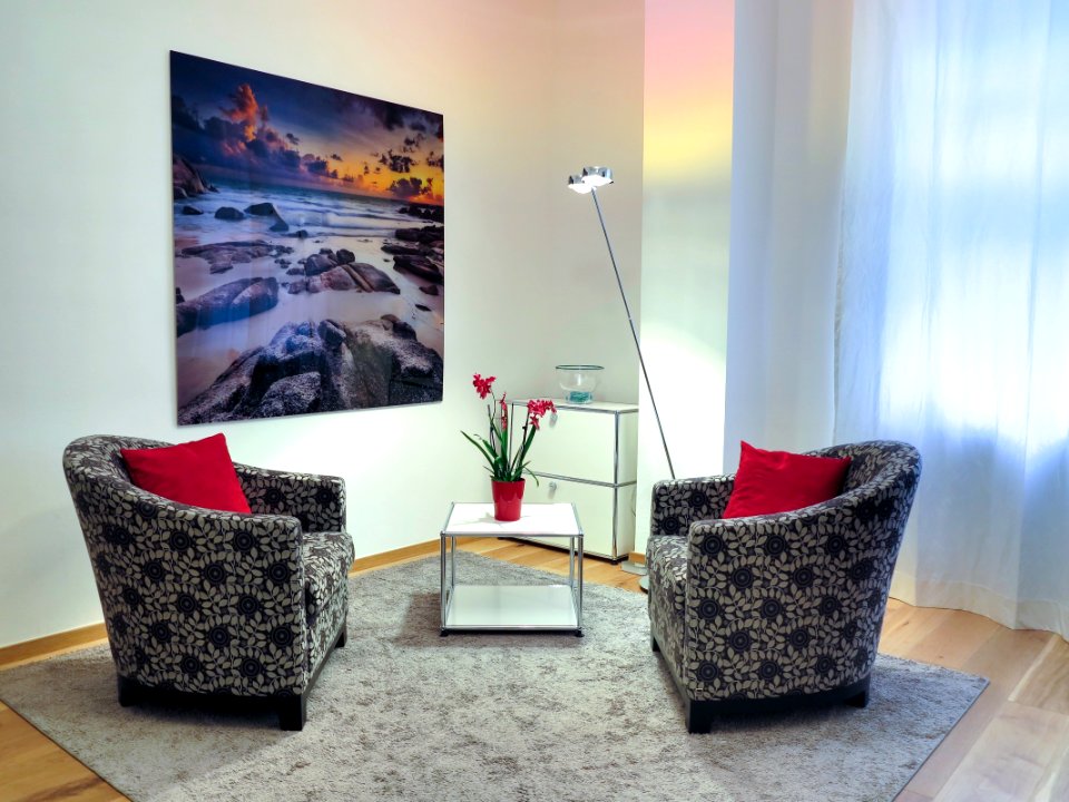Apartment Chairs Comfort