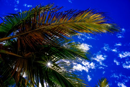 Blue Sky Clouds