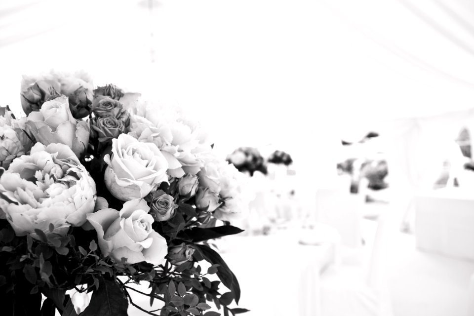 Beautiful Flowers Black