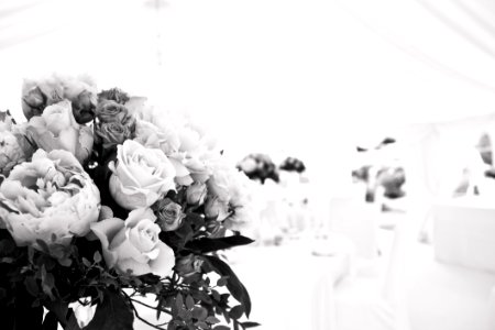 Beautiful Flowers Black