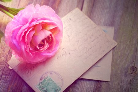 Bright Card Cards